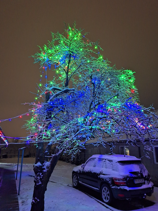 Casă/Vilă 3 camere • Lipănești