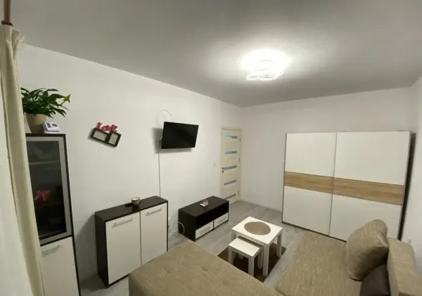 Ap. 1 cameră • Timișoara