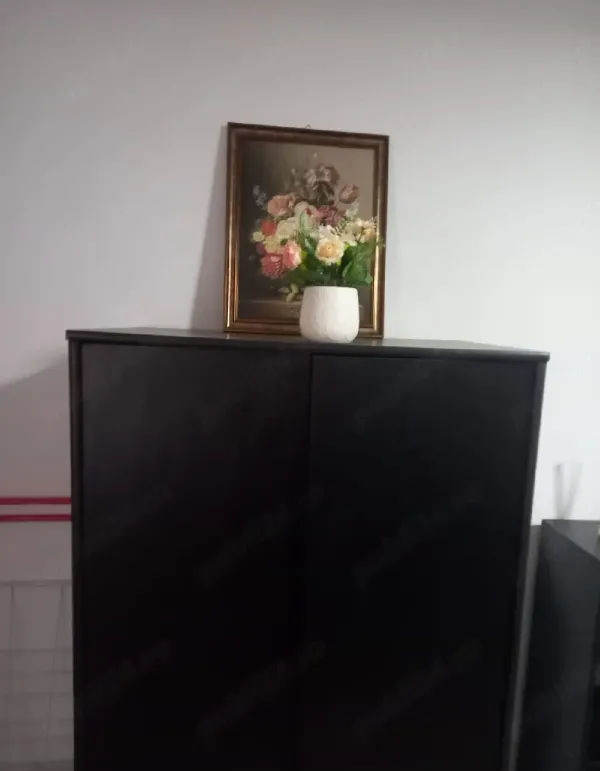 Ap. 1 cameră • Arad